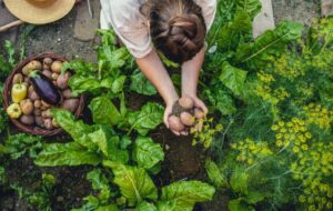 Captura de tela 2024 06 07 123811