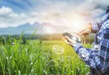 Agro Cada Vez Mais Digital e Conectado, Diz Produtor agro