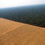 Desmatamento na Amazônia e Cerrado Mostra Tendência de Queda desmatamento