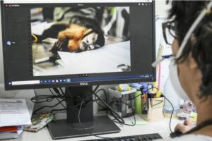 Fiocruz Amazônia e Ibama-AM Firmam Cooperação em Pesquisa de Saúde Única 1 Fiocruz