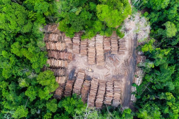 Captura de tela 2024-06-10 123709 degradação