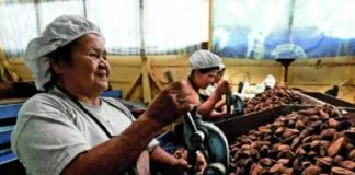Cooperativas Impulsionam Nova Era de Sustentabilidade no Brasil Cooperativas Impulsionam Nova Era de Sustentabilidade no Brasil