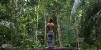 Diálogos Amazônicos: Evento Aborda Defesa e Desenvolvimento na Região Diálogos Amazônicos: Evento Aborda Defesa e Desenvolvimento na Região