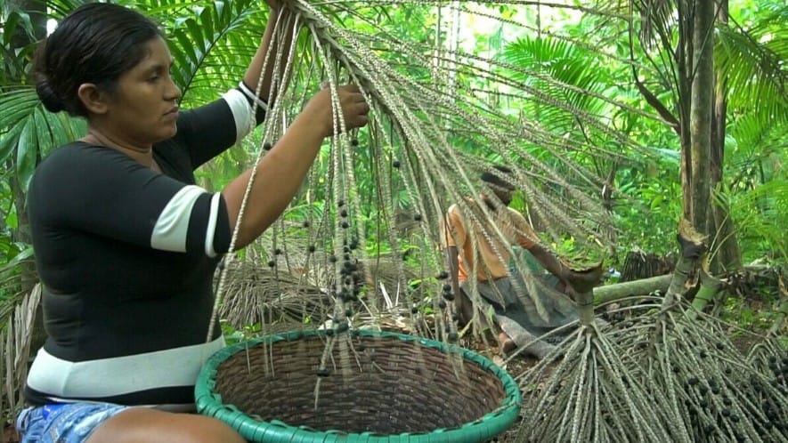 Amazônia