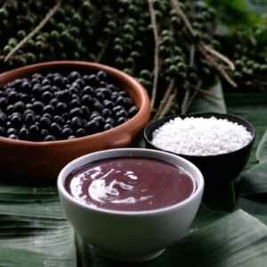 Açaí de Igarapé-Miri conquista Portugal e mira expansão