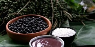 Açaí de Igarapé-Miri conquista Portugal e mira expansão Açaí de Igarapé-Miri conquista Portugal e mira expansão