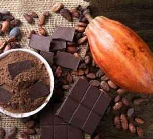 Altamira-Pa, Sediou o Maior Festival de Cacau e Chocolate da América Latina cacau