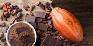 Altamira-Pa, Sediou o Maior Festival de Cacau e Chocolate da América Latina cacau