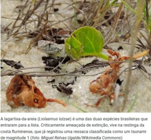 Captura-de-tela-2024-06-18-155137-300x277 Fenômenos Naturais Ameaçam 10% das Espécies de Vertebrados Terrestres no Mundo