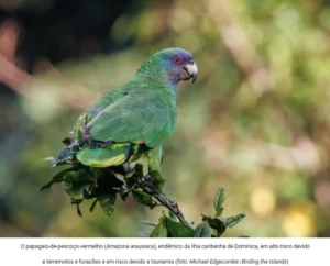 Captura-de-tela-2024-06-18-155234-300x242 Fenômenos Naturais Ameaçam 10% das Espécies de Vertebrados Terrestres no Mundo
