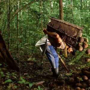 Comunidades do Sul do Amazonas Conhecem o Projeto Floresta+