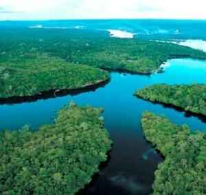 MJSP Lança Edital para Pesquisa sobre Crimes Ambientais e Financeiros na Amazônia Legal