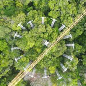 Algoritmo da Unicamp Projeta Impacto das Mudanças Climáticas na Amazônia