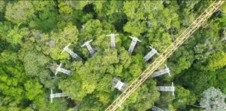 Algoritmo da Unicamp Projeta Impacto das Mudanças Climáticas na Amazônia Algoritmo da Unicamp Projeta Impacto das Mudanças Climáticas na Amazônia