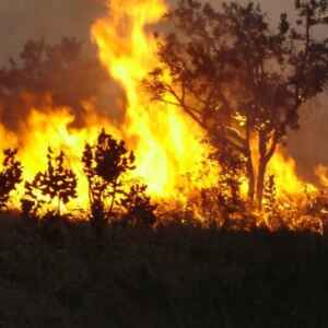 Brasil Registra 200 Milhões de Hectares Queimados em 39 Anos