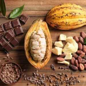 Empresas Apostam na Bioeconomia para Desenvolvimento Sustentável