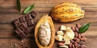 Empresas Apostam na Bioeconomia para Desenvolvimento Sustentável Empresas Apostam na Bioeconomia para Desenvolvimento Sustentável