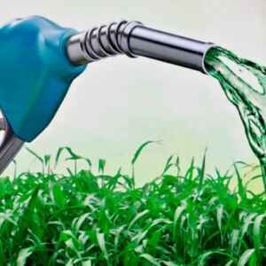 Selo Biocombustível Inclui Agricultura Familiar na Produção de Biodiesel