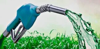 Selo Biocombustível Inclui Agricultura Familiar na Produção de Biodiesel Selo Biocombustível Inclui Agricultura Familiar na Produção de Biodiesel