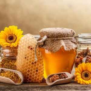 Desafios e Oportunidades para a Apicultura Brasileira: Dia do Mel