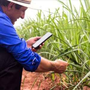 Cooperativas Aderem às Principais Tendências do Agronegócio para 2024