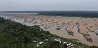 Seca Impacta Diferentes Regiões da Amazônia de Maneiras Distintas Seca Impacta Diferentes Regiões da Amazônia de Maneiras Distintas