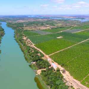 Nordeste é Essencial na Estratégia de Desenvolvimento do Governo, Afirma Secretário