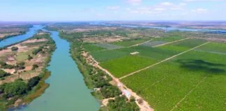 Nordeste é Essencial na Estratégia de Desenvolvimento do Governo, Afirma Secretário Nordeste é Essencial na Estratégia de Desenvolvimento do Governo, Afirma Secretário