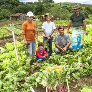 Programa Fomento Rural Destina R$ 9,7 Milhões a 4,2 Mil Famílias em Junho