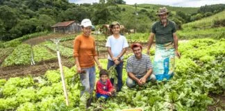 Programa Fomento Rural Destina R$ 9,7 Milhões a 4,2 Mil Famílias em Junho Programa Fomento Rural Destina R$ 9,7 Milhões a 4,2 Mil Famílias em Junho
