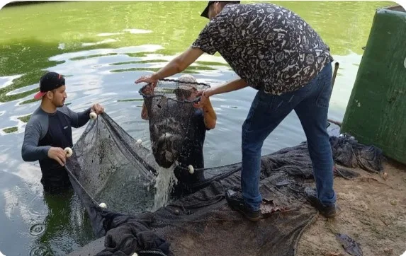 Captura de tela 2024 06 21 190631