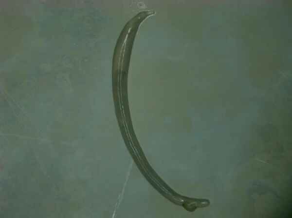 Captura de tela 2024 06 21 190700