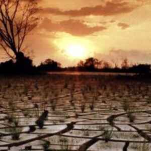 ONU Instiga Ação Global pela Recuperação de Terras Degradadas ONU