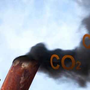 Fraude em créditos de carbono visava grilar 3,5 milhões de hectares na Amazônia carbono