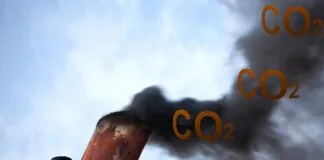 Fraude em créditos de carbono visava grilar 3,5 milhões de hectares na Amazônia carbono