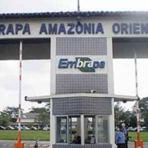 Embrapa Celebra 85 Anos de Pesquisa Agropecuária na Amazônia