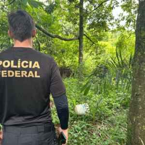 Polícia Federal Deflagra Operação Contra Desmatamento Ilegal na Amazônia polícia