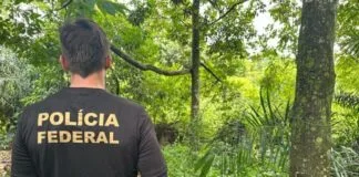 Polícia Federal Deflagra Operação Contra Desmatamento Ilegal na Amazônia polícia