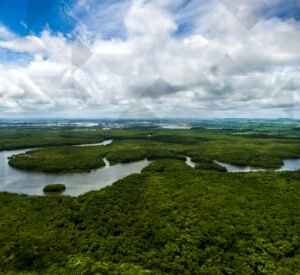 Noruega Realiza Nova Doação de Mais de R$ 270 Milhões ao Fundo Amazônia