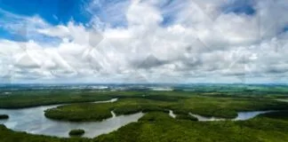 Noruega Realiza Nova Doação de Mais de R$ 270 Milhões ao Fundo Amazônia Noruega Realiza Nova Doação de Mais de R$ 270 Milhões ao Fundo Amazônia