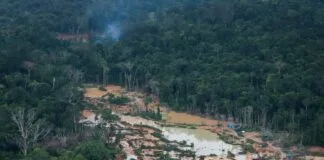 Governo Federal Intensifica Combate ao Garimpo Ilegal na Terra Yanomami Governo Federal Intensifica Combate ao Garimpo Ilegal na Terra Yanomami