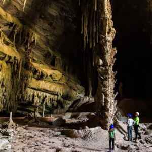 Seca no Cerrado Brasileiro é a Pior em Sete Séculos, Revela Estudo