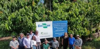 Presidente da Embrapa Visita Sistema Agroflorestal Referência em Sustentabilidade Presidente da Embrapa Visita Sistema Agroflorestal Referência em Sustentabilidade