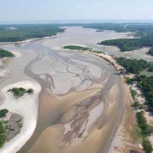 Pantanal e Amazônia Enfrentam Seca Intensa até o Fim de 2024, Adverte Ibama