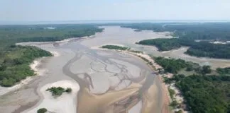 Pantanal e Amazônia Enfrentam Seca Intensa até o Fim de 2024, Adverte Ibama Pantanal e Amazônia Enfrentam Seca Intensa até o Fim de 2024, Adverte Ibama