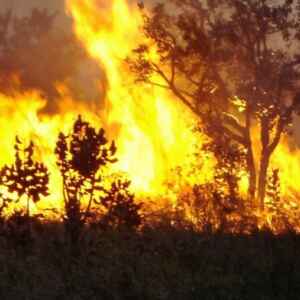 Apesar da queda no desmatamento, incêndios na Amazônia aumentam 36% em 2023