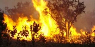 Apesar da queda no desmatamento, incêndios na Amazônia aumentam 36% em 2023 Apesar da queda no desmatamento, incêndios na Amazônia aumentam 36% em 2023