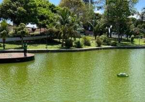Captura-de-tela-2024-06-28-125411-300x211 Estudante Amapaense Recebe Medalha de Bronze por Projeto de Limpeza dos Rios da Amazônia