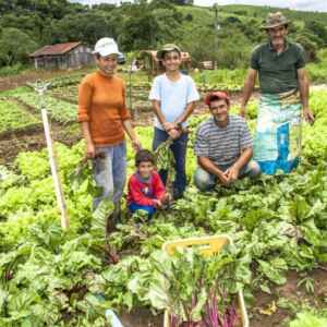 Pronaf Mostra Crescimento Expressivo com Plano Safra da Agricultura Familiar 2023-2024 pronaf