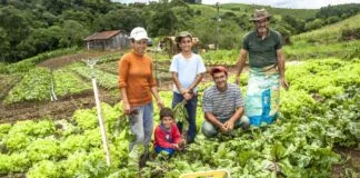 Pronaf Mostra Crescimento Expressivo com Plano Safra da Agricultura Familiar 2023-2024 pronaf